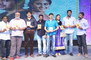 Dikkulu Choodaku Ramayya Movie Audio Launch